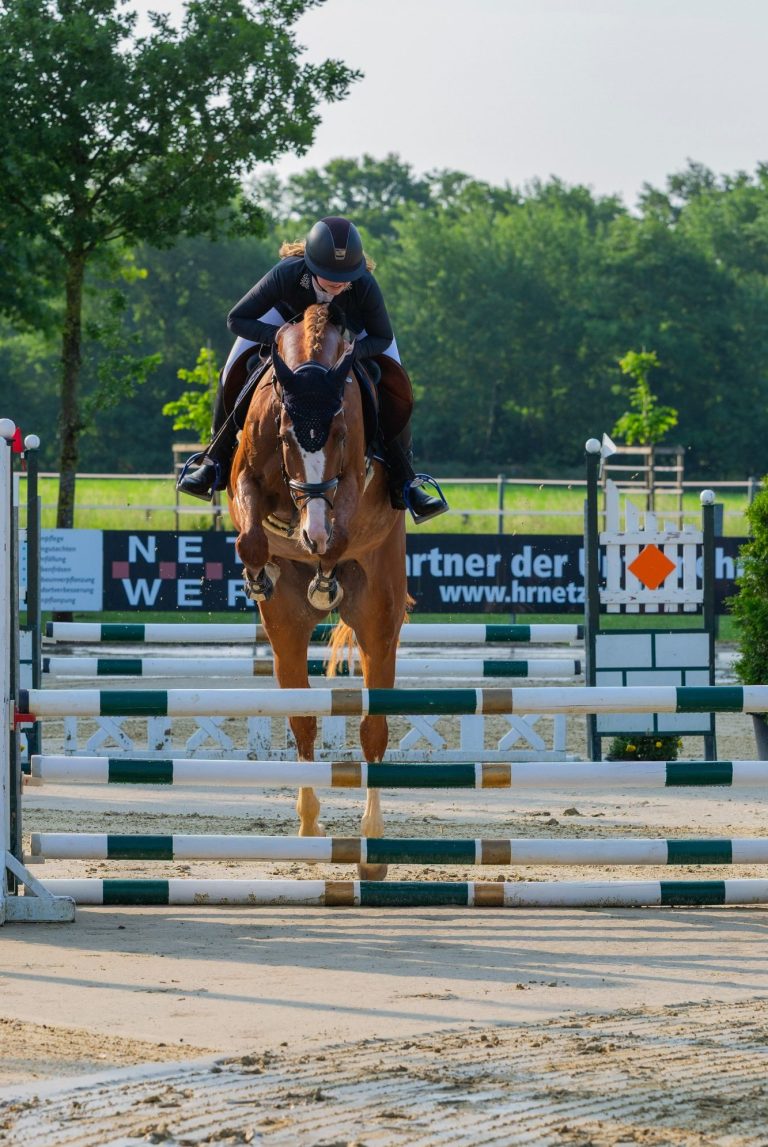 Meike Meike Tibbe mit einem jungen Pferd in einer Springprüfung.