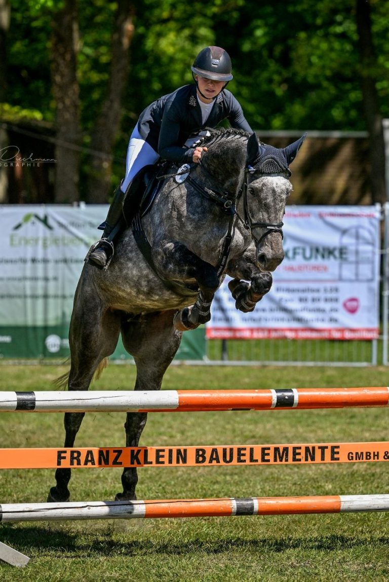 Meike Meike Tibbe mit einem jungen Pferd in einer Springprüfung.